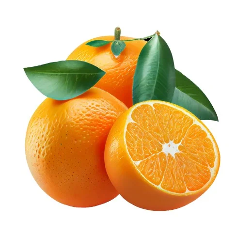 برتقال طازج