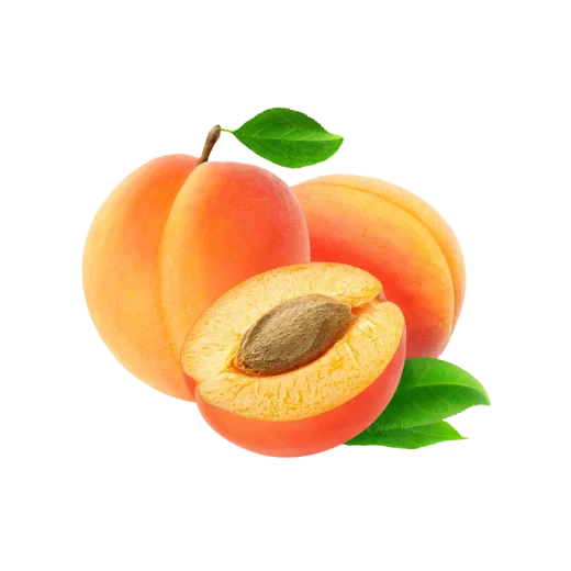 مشمش طازج
